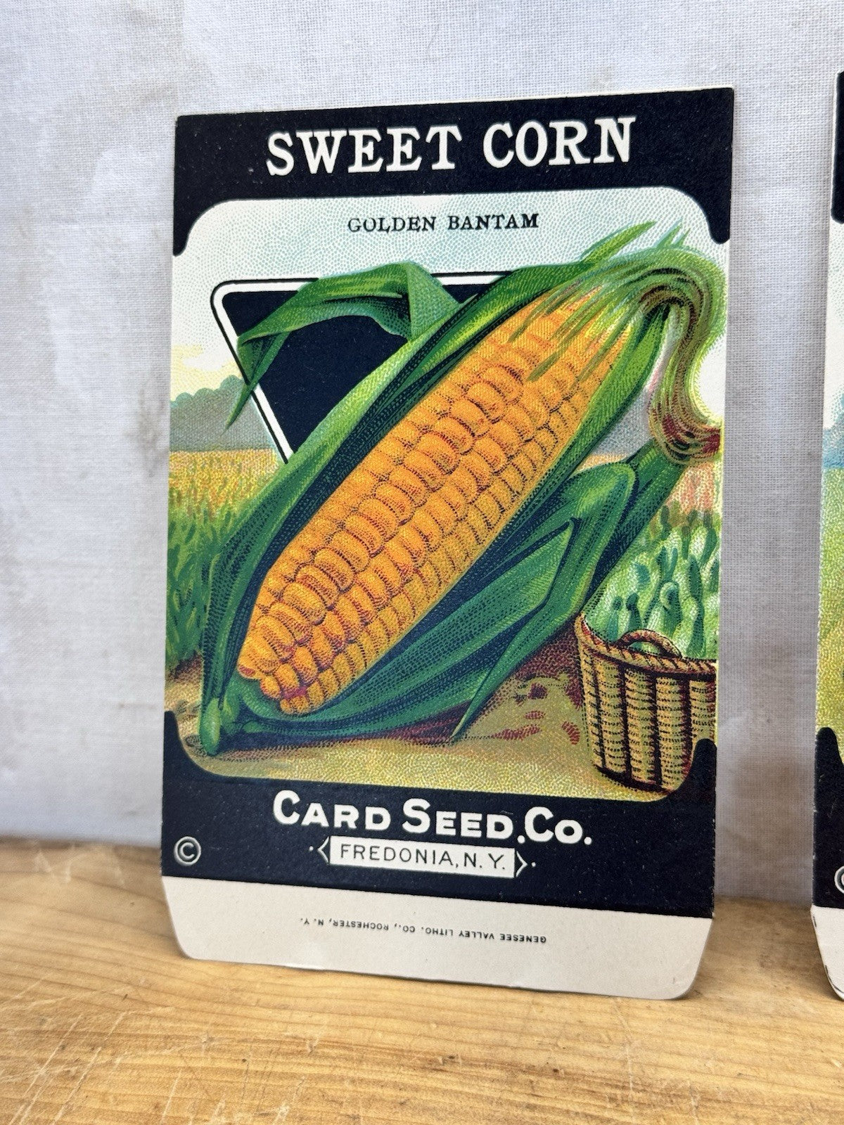 Vintage Garden Seed Packets Empty NOS #1580
