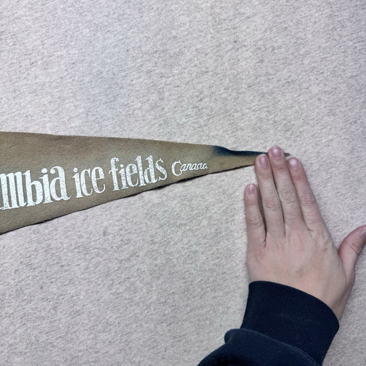 Mount Rundle Canada Vintage Fabric Pennant Banner Flag Souvenir