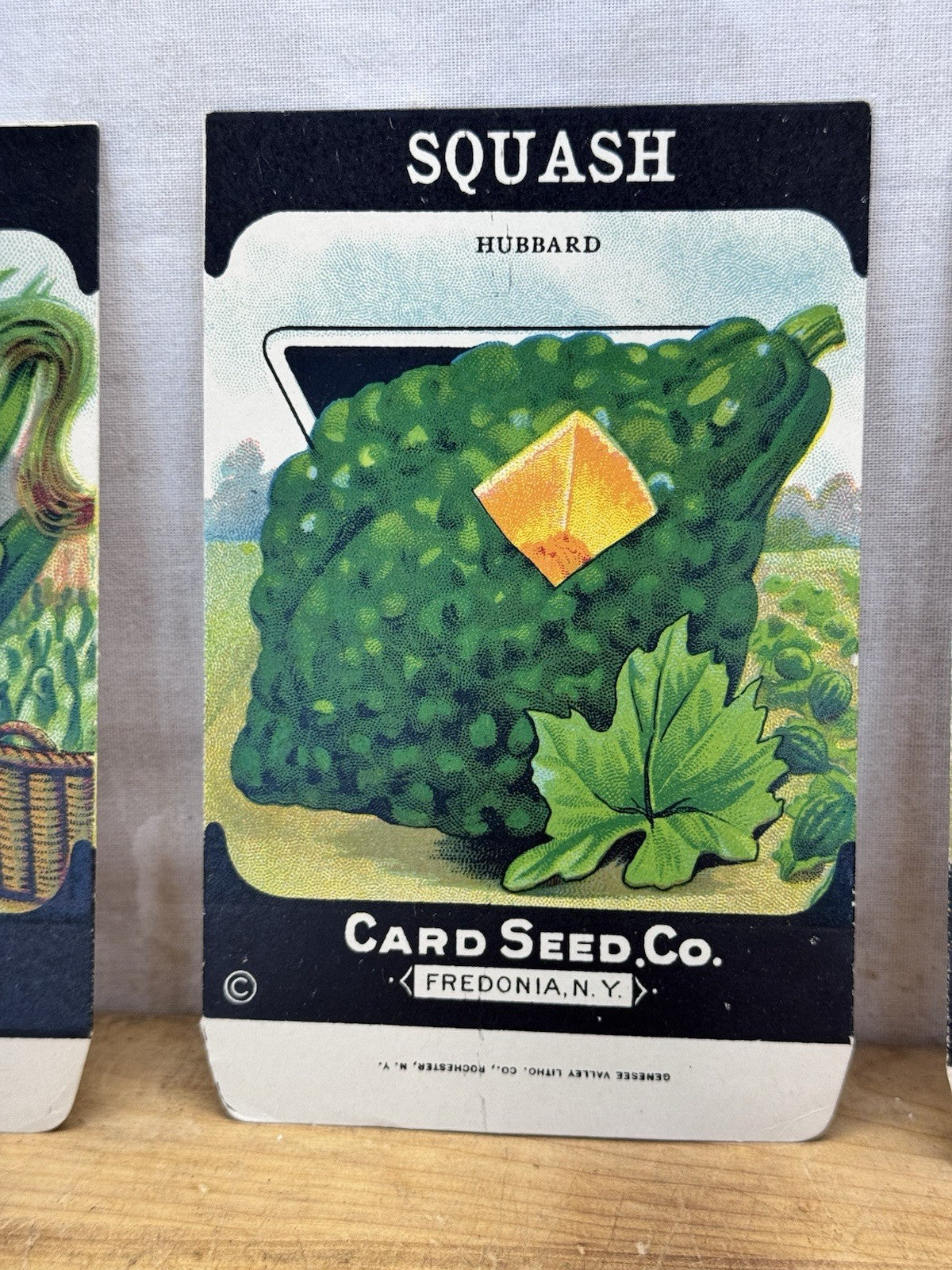 Vintage Garden Seed Packets Empty NOS #1580