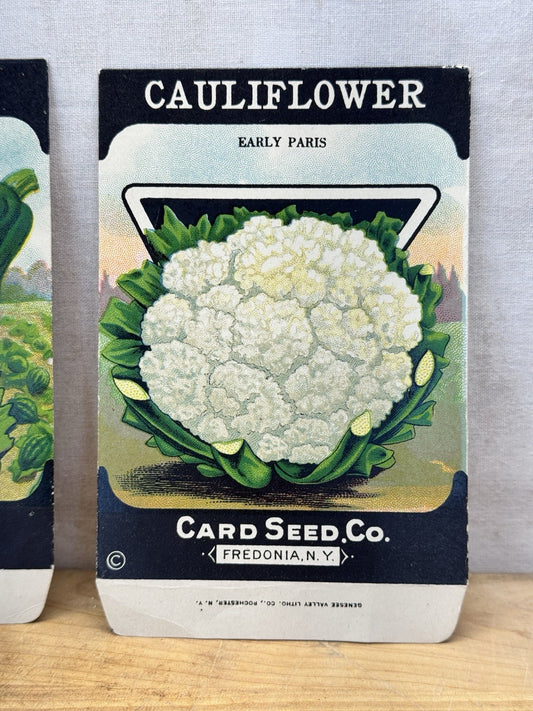 Vintage Garden Seed Packets Empty NOS #1580