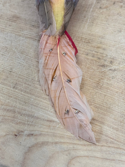 Japan Birds Vintage #1734