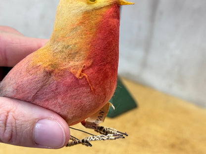 Japan Birds Vintage #1734