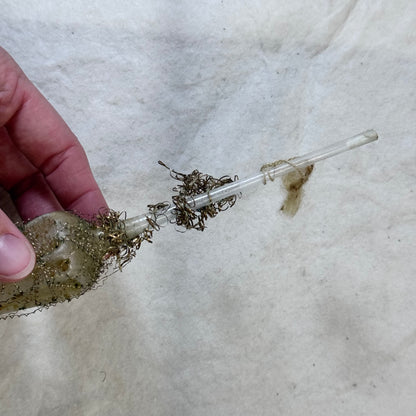 Victorian Glass Wire Mesh Ornament #2094