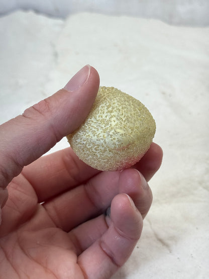 Vintage Christmas Sugar Ornaments #1792