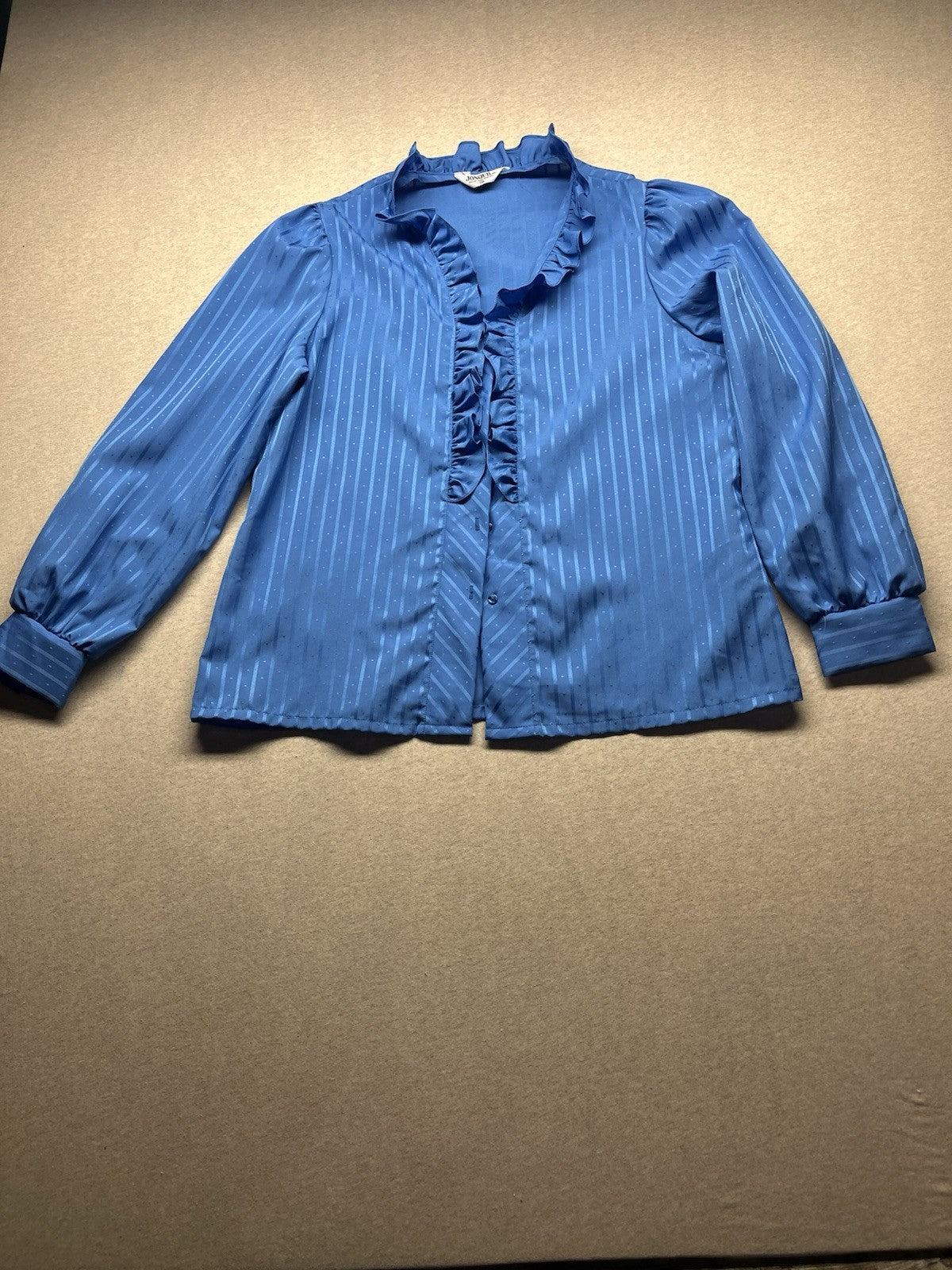 1970s, 80s Women’s L Sleeve Blue Striped Nylon Ruffled Top