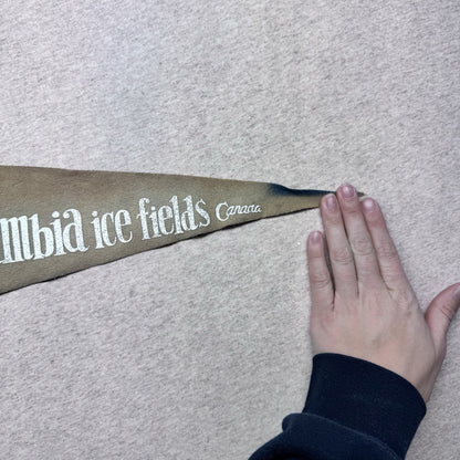 Mount Rundle Canada Vintage Fabric Pennant Banner Flag Souvenir 