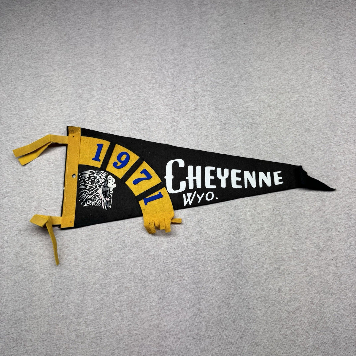 Cheyenne Wyoming Vintage Fabric Pennant Banner Flag Souvenir 