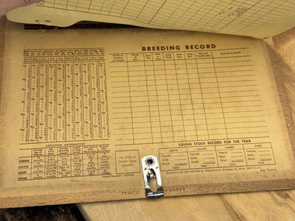 T V Building Supply Brandon Wisconsin 1971 Advertising Calendar #1416
