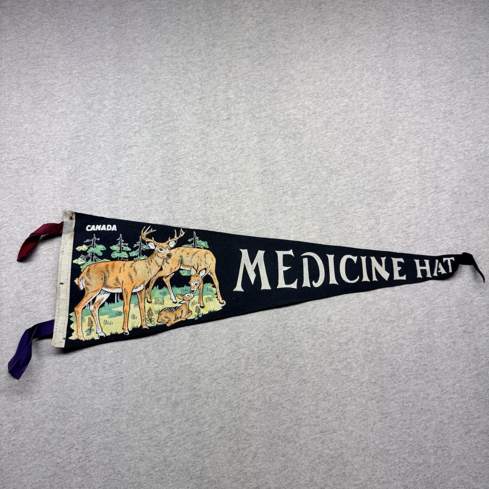 Medicine Hat Canada Vintage Fabric Pennant Banner Flag Souvenir 