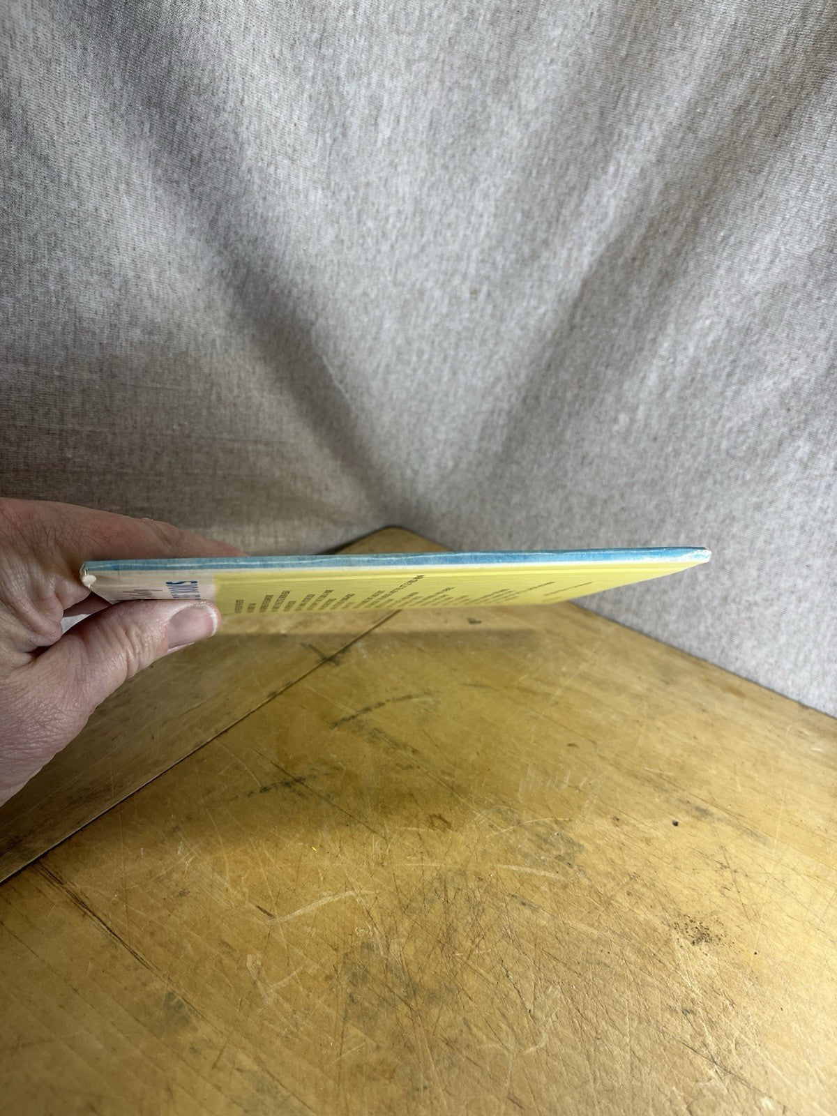 Child’s Kittens Rand McNally Book