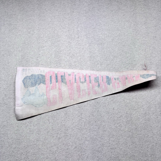 Glacier Park Montana Vintage Fabric Pennant Banner Flag Souvenir 