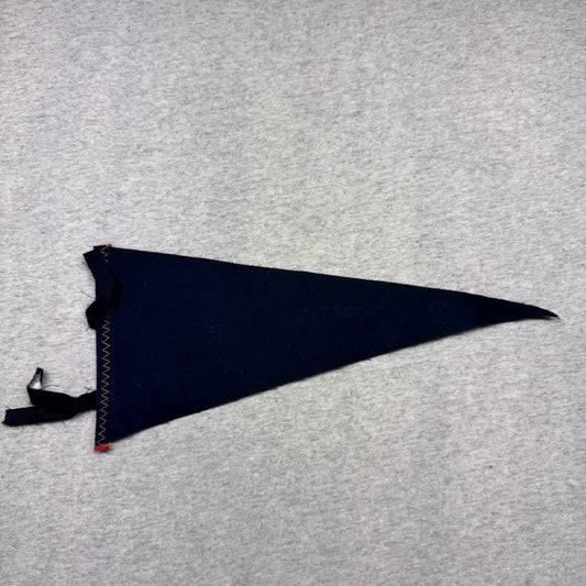 Cardston Alta Vintage Fabric Pennant Banner Flag Souvenir 