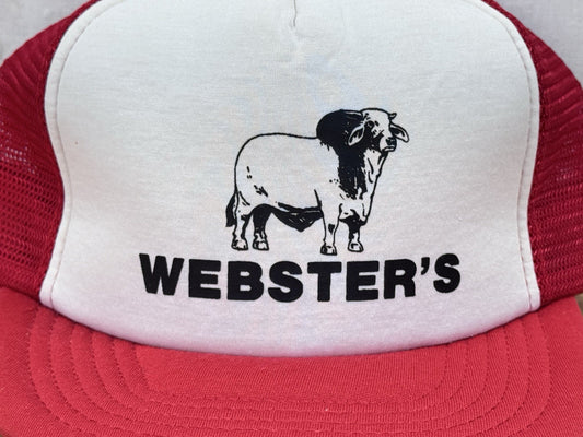Websters Vintage SnapBack Hat NOS #1109