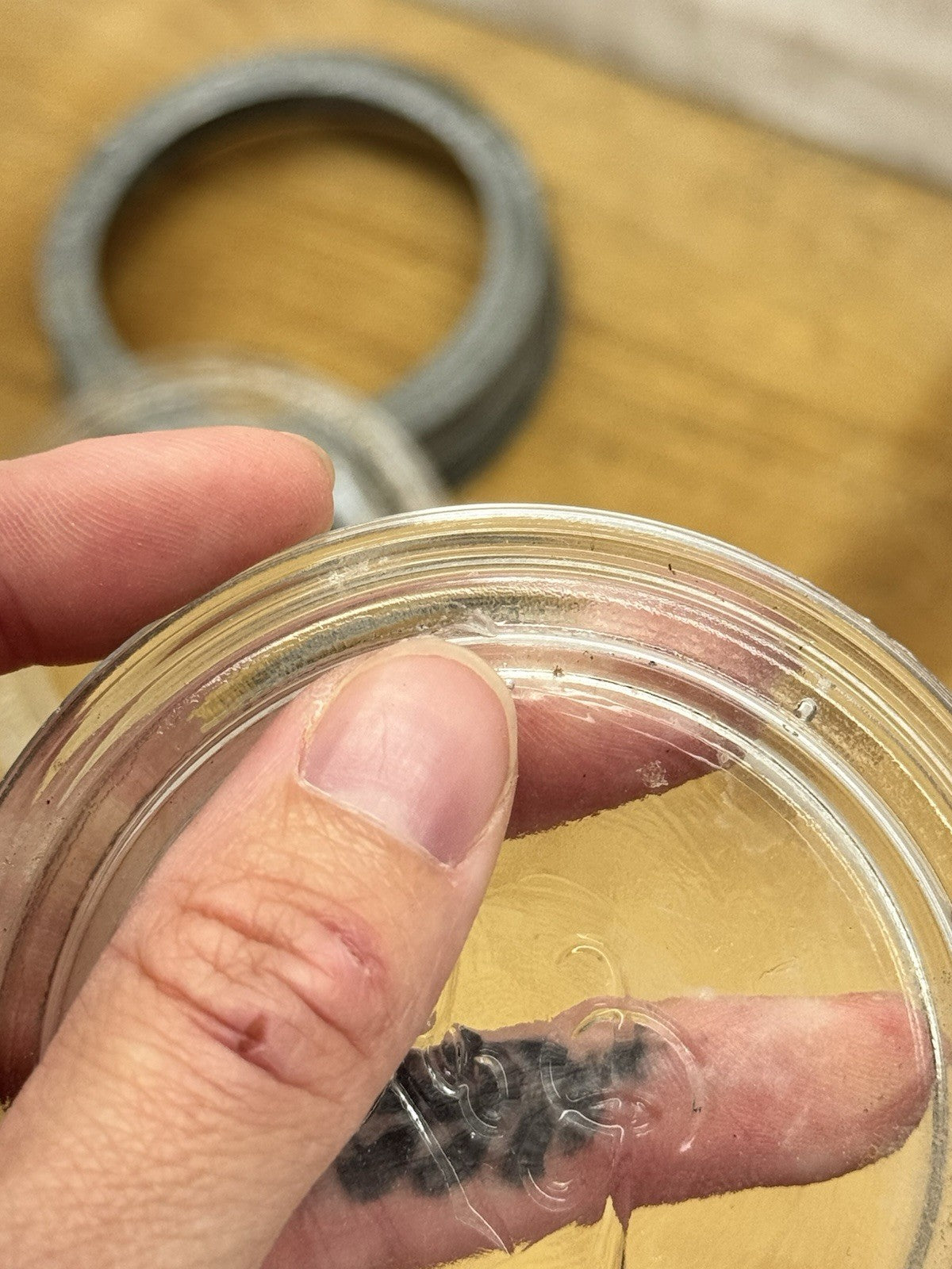 Wide Mouth Mason Jar Rings With Glass Toppers 3 Antique #1524