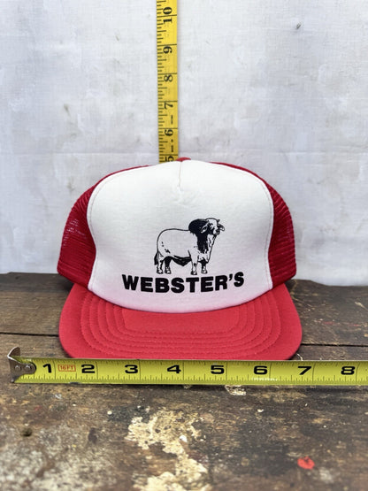 Websters Vintage SnapBack Hat NOS #1109