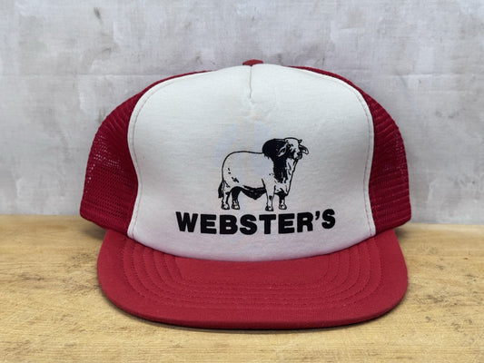 Websters Vintage SnapBack Hat NOS #1109