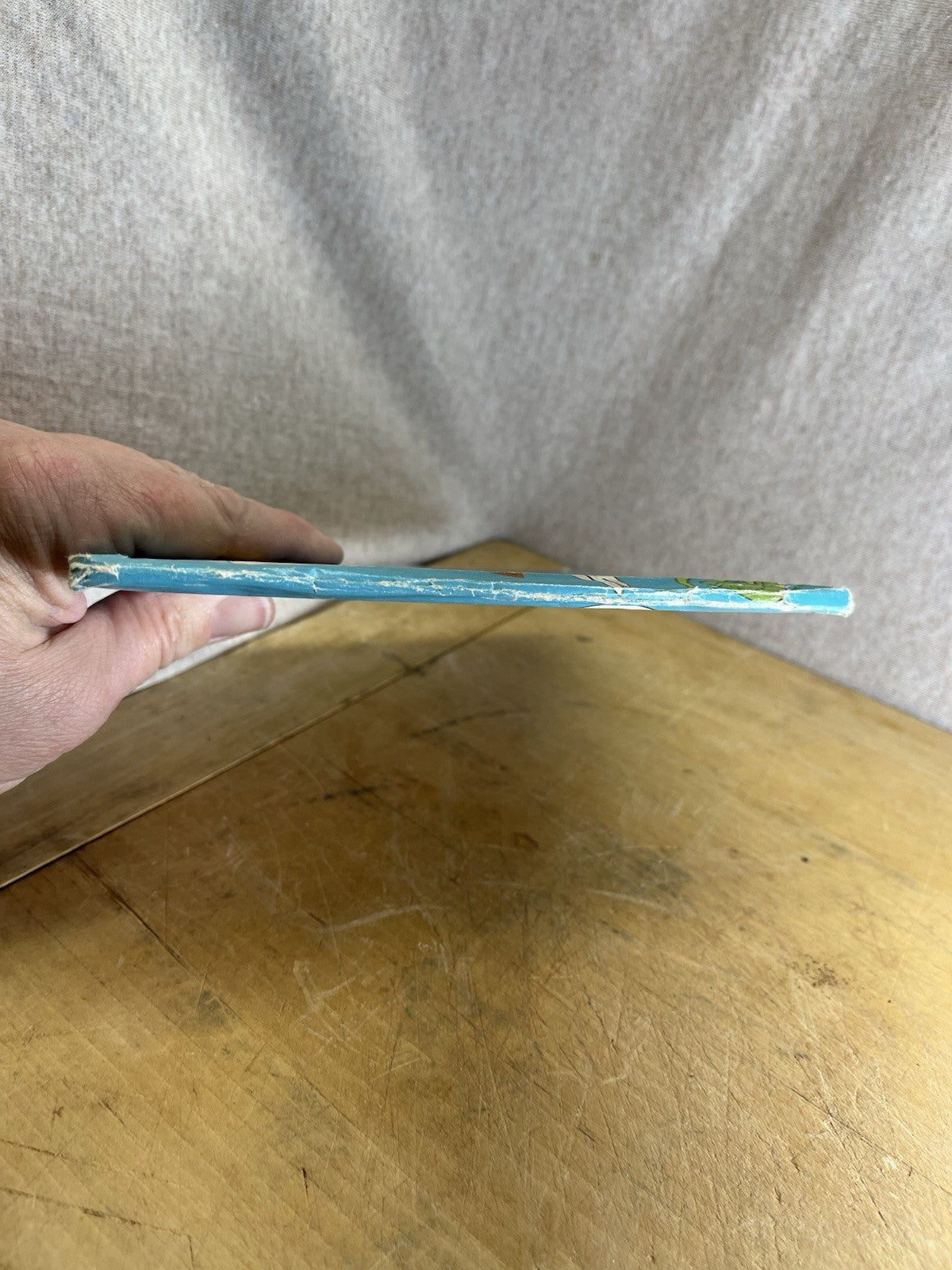 Child’s Rescuers Walt Disney Book