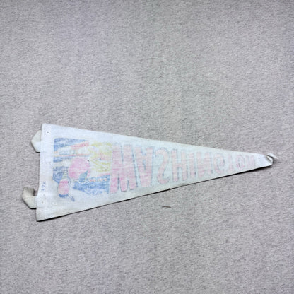 Washington Vintage Fabric Pennant Banner Flag Souvenir 