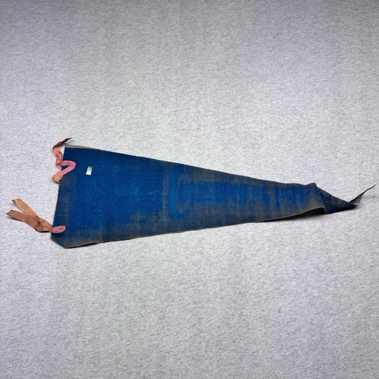 Mount Rundle Canada Vintage Fabric Pennant Banner Flag Souvenir 