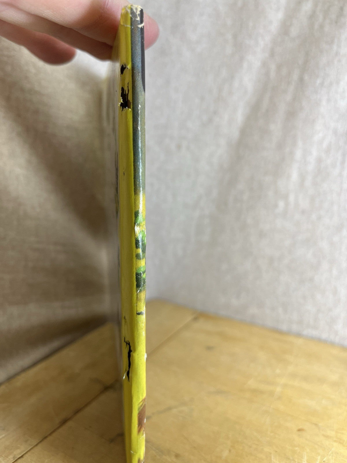 Child’s Lassie Book By Whitman