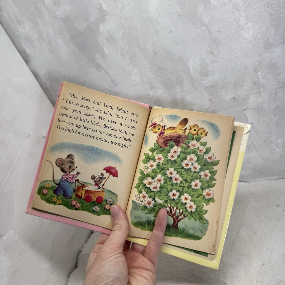 Jimmy Mouse Rand McNally Junior Elf Book Vintage Children’s Book 