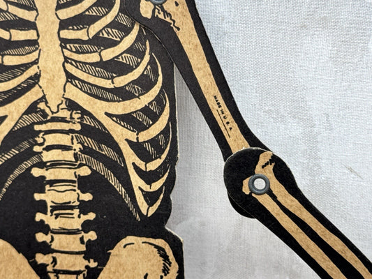 Vintage Cardboard Halloween Skeleton Decor 1950s? #1195