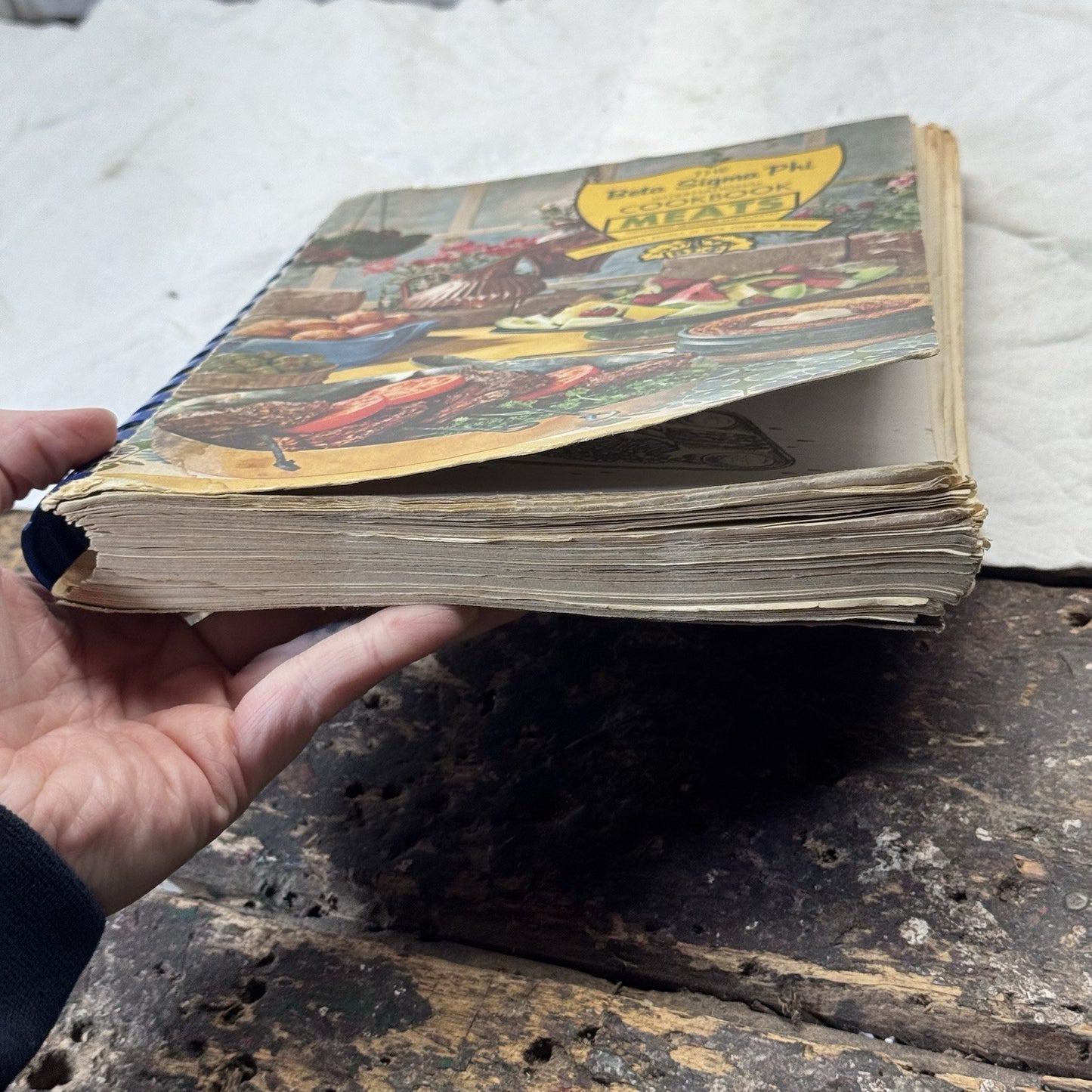 Beta Sigma Phi Meats Cookbook Vintage