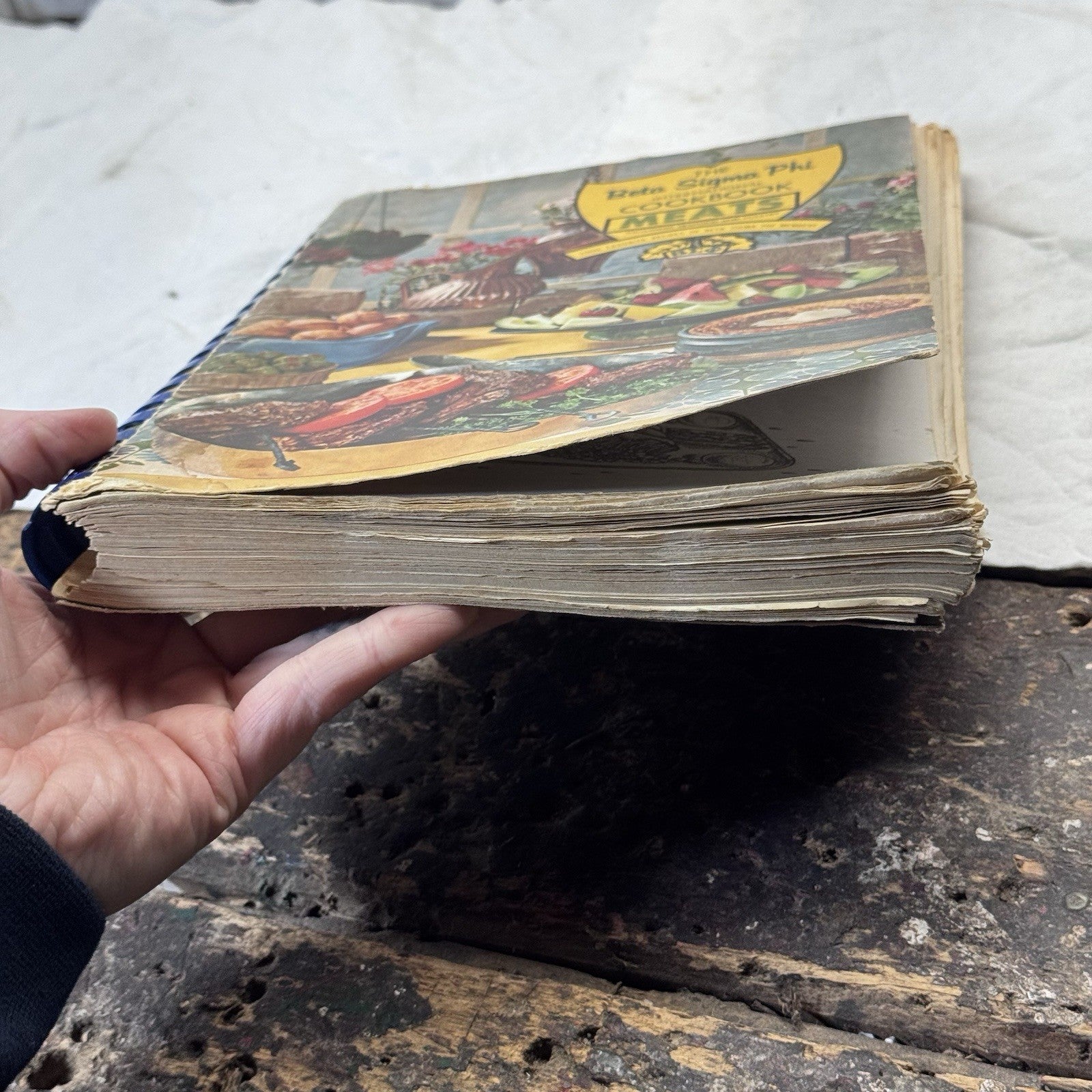 Beta Sigma Phi Meats Cookbook Vintage