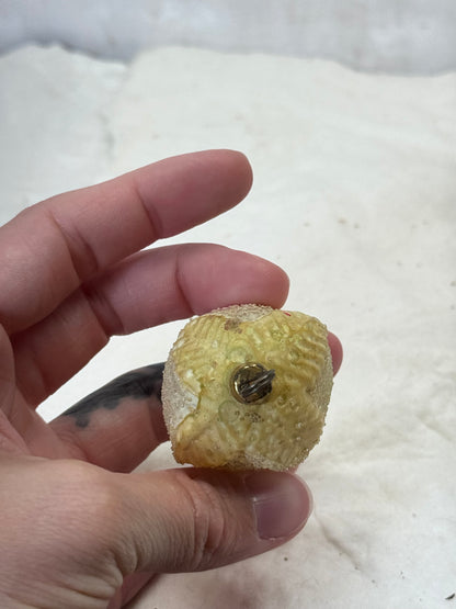 Vintage Christmas Sugar Ornaments #1792