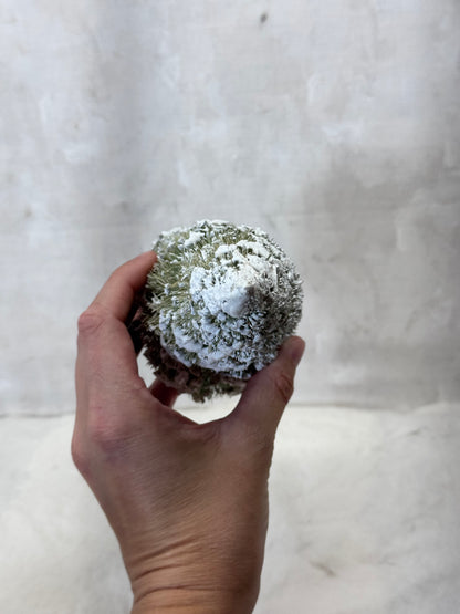 Bottle Brush Christmas Trees Vintage #1938