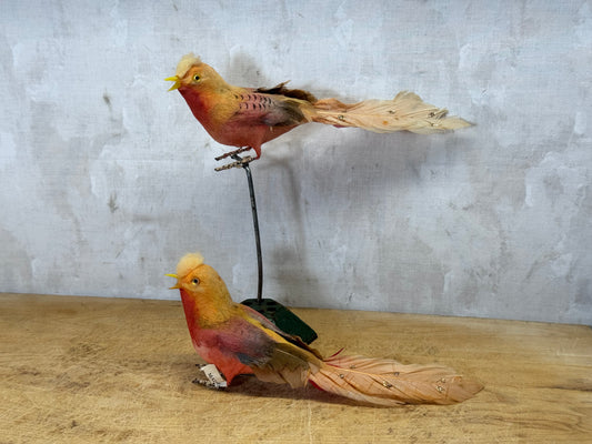 Japan Birds Vintage #1734