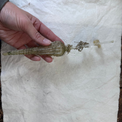 Victorian Glass Wire Mesh Ornament #2094