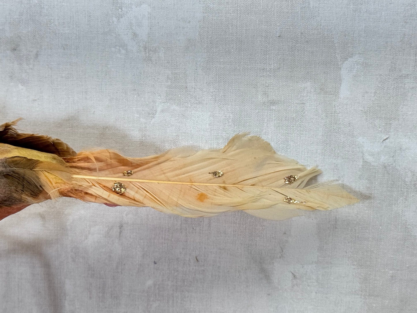 Japan Birds Vintage #1734