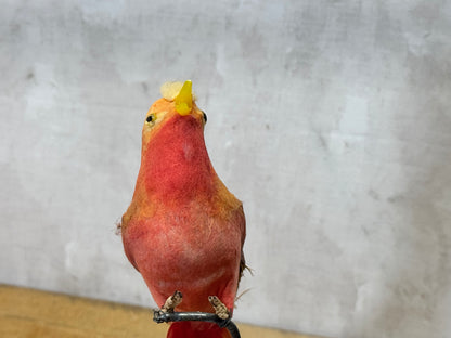 Japan Birds Vintage #1734