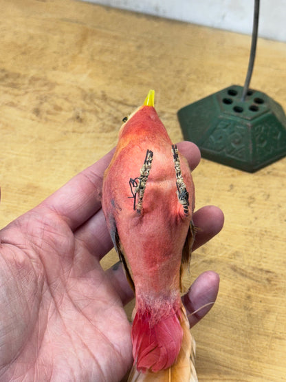 Japan Birds Vintage #1734